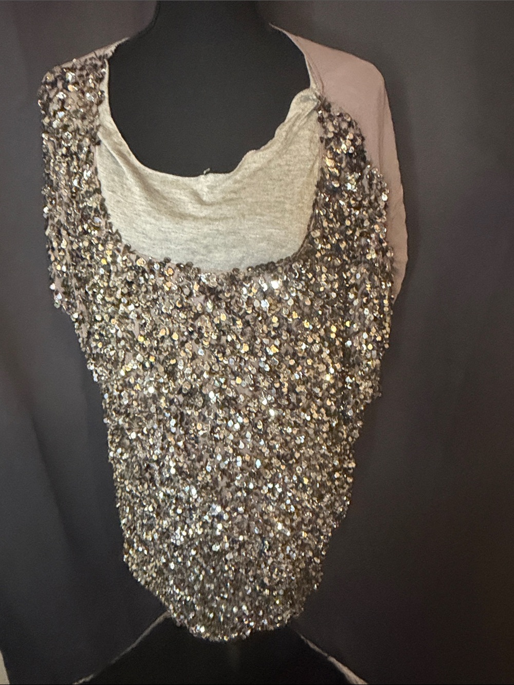 dolan Silver Sequin Scoop Neck Jersey Top